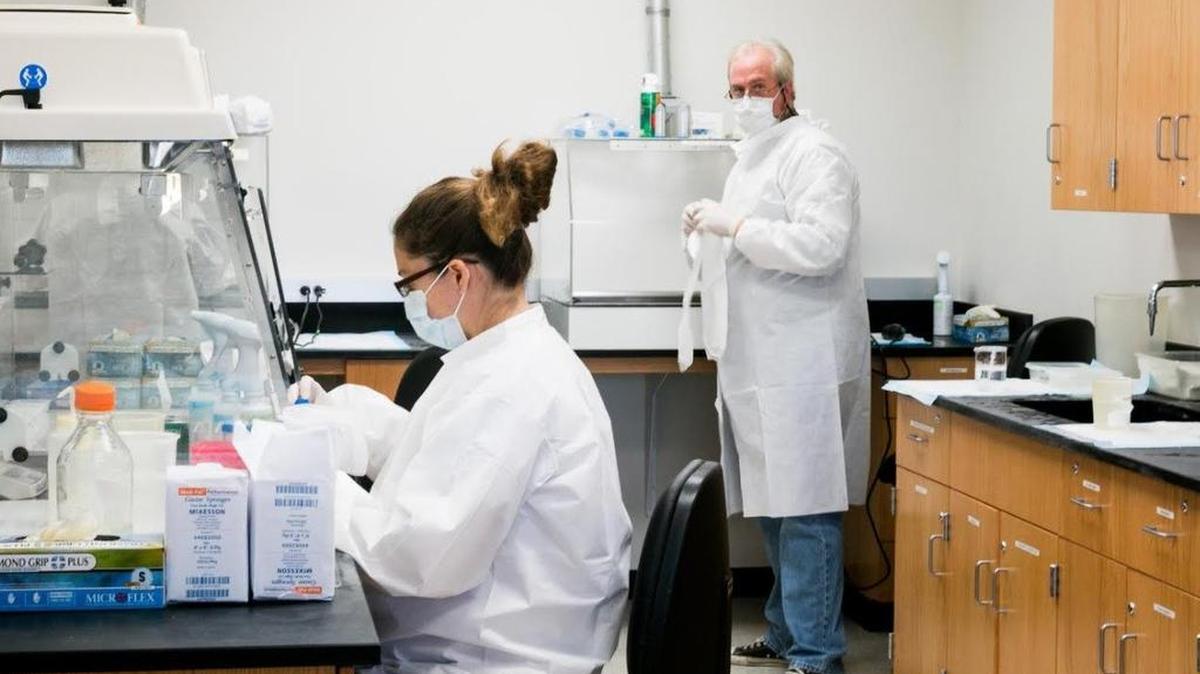 Forensic analysts in the DNA laboratory at the University of North Texas Center for Human Identification work to help families find missing relatives. The center is at the University of North Texas Health Science Center in Fort Worth.