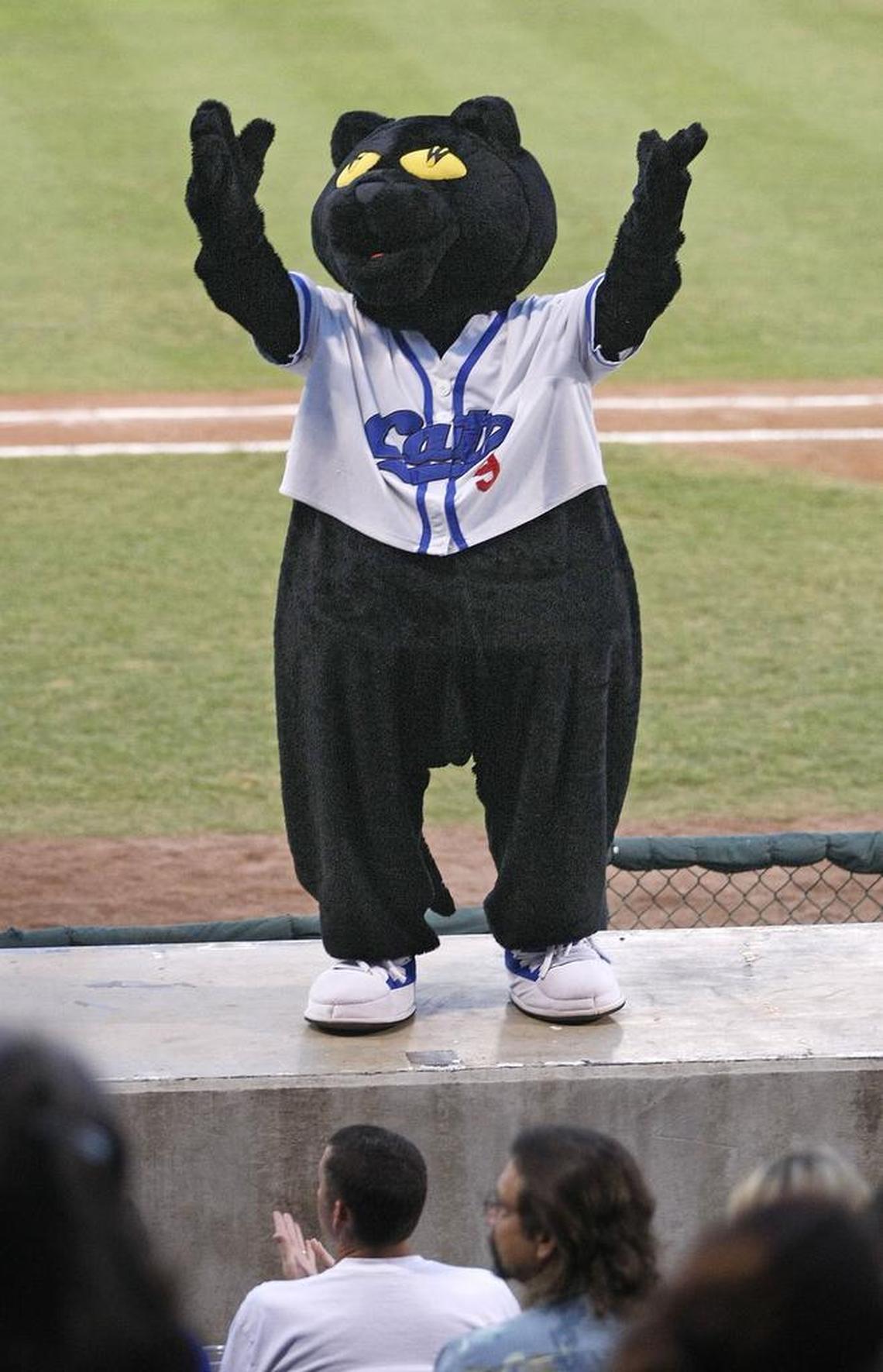 Dodger was the mascot for the Fort Worth Cats.