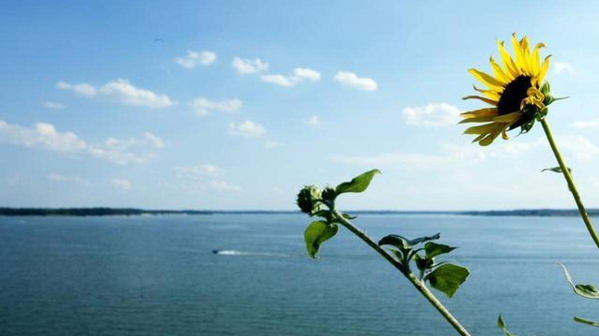 
Fort Worth is recommending its water customers mask possible “taste and odor issues” by adding lemon or lime and refrigerating drinking water. The potential for the earthy smell and taste is because of high levels of geosmin in Lake Benbrook (pictured). 
