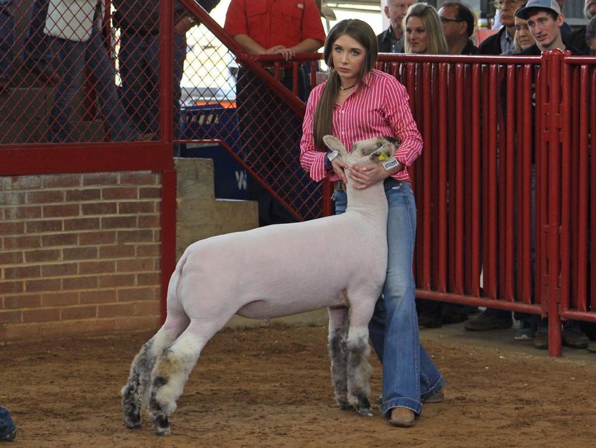 Talyn Eaton and her lamb won a blue ribbon in the Junior Wether Lamb Show Saturday at the Fort Worth Stock Show.