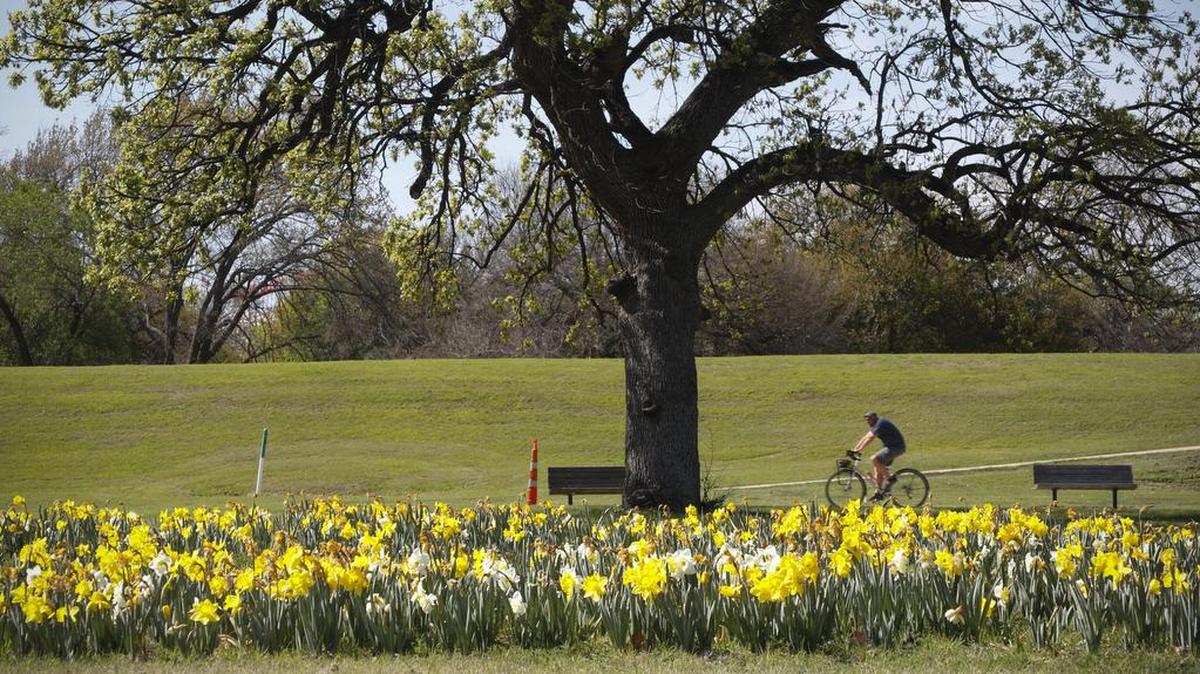 Temperatures were very spring-like on Monday -- just like this photo from April along the Trinity River -- but a cold front is coming. Finally.