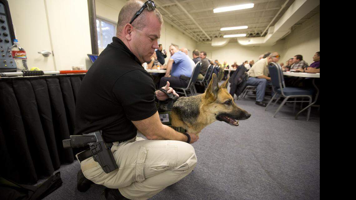 
Cleburne police officer Trey West and Coral at an all-day training session in December to teach are law enforcement personnel what to do when they encounter loose or aggressive dogs. On Friday, House members gave preliminary approval to House Bill 593 by state Rep. Nicole Collier, D-Fort Worth, which establishes a statewide training requirement for law enforcement officers to teach them how to deal with canine encounters on the job. 
