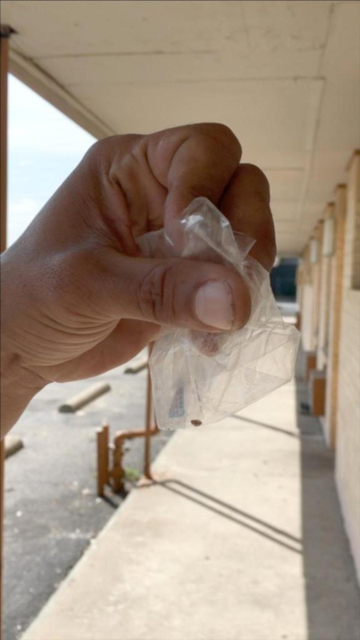 A guest at Knights Inn, who called himself James, shows a bed bug he says he plucked from the mattress in Room 112. He showed the bed bug to Knights Inn owner Anil Patidar, who offered James no recourse.