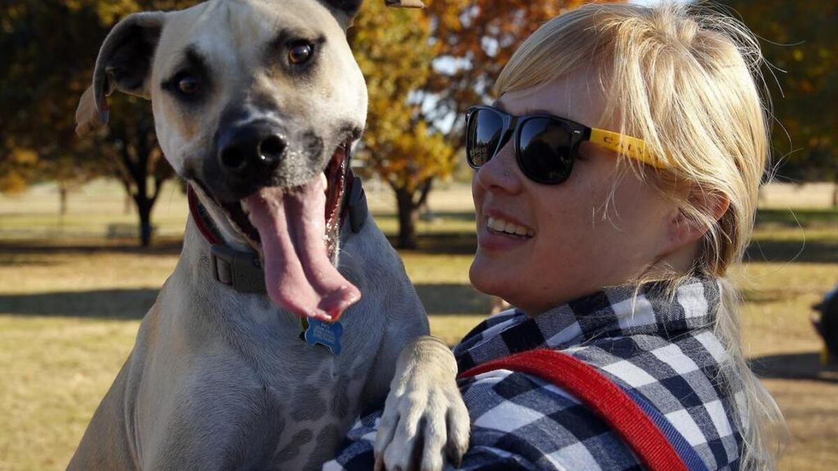 Megan Dotinga holds her dog, Royce, at the Fort Woof Dog Park earlier this month. She said she named the dog after the luxury vehicle. Since she likely won’t ever own such an expensive vehicle, she might as well name her dog after one.