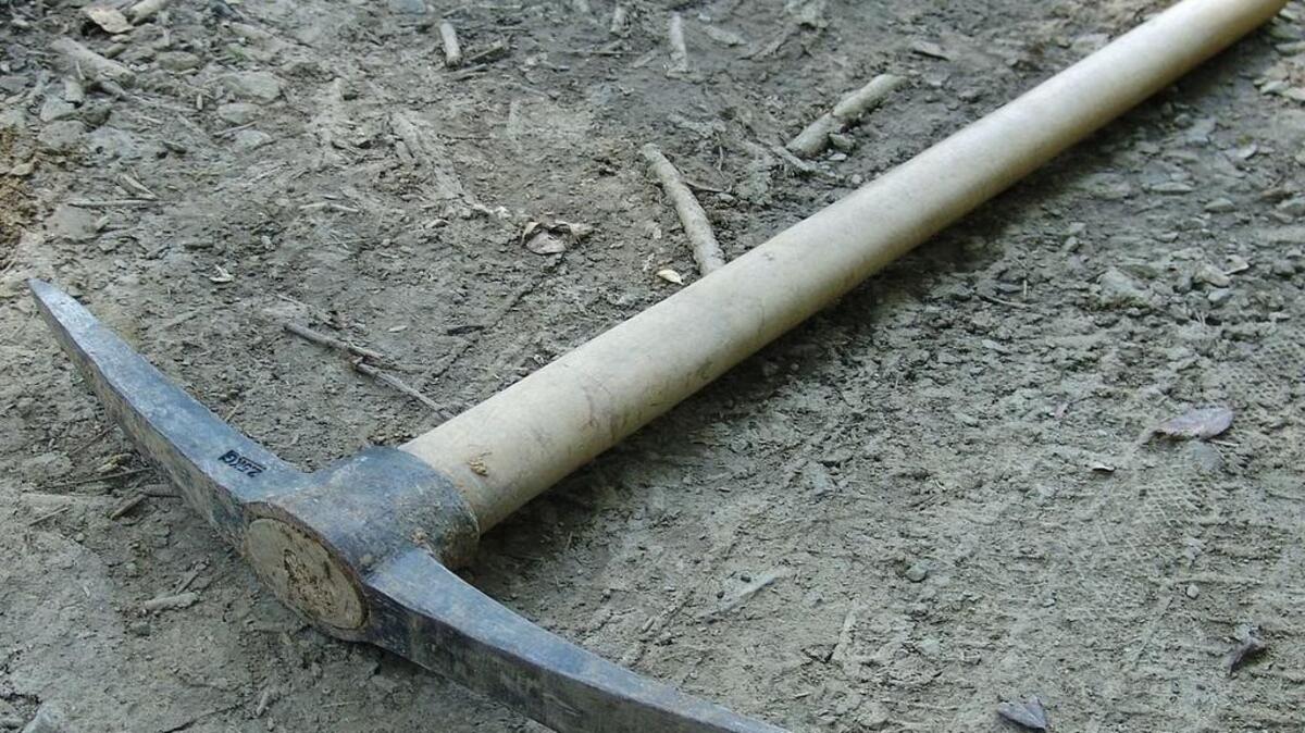 Police say two friends attacked each other with a pickaxe.