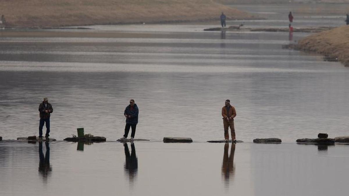 Lake Worth and parts of the Trinity River contain several of species of fish that were recently tested and found to contain dangerous levels of toxins.