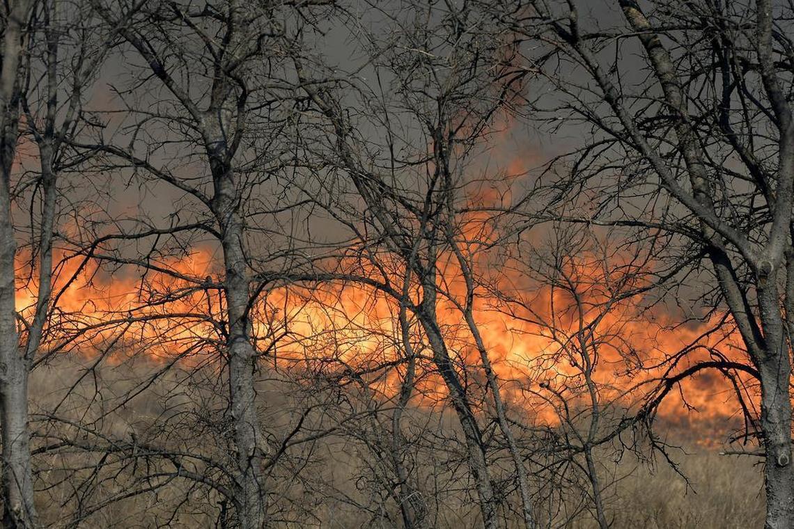 Grass and weeds burns just north of I-20 in Parker County, Monday as high winds and low humidity create perfect conditions for wildfires.