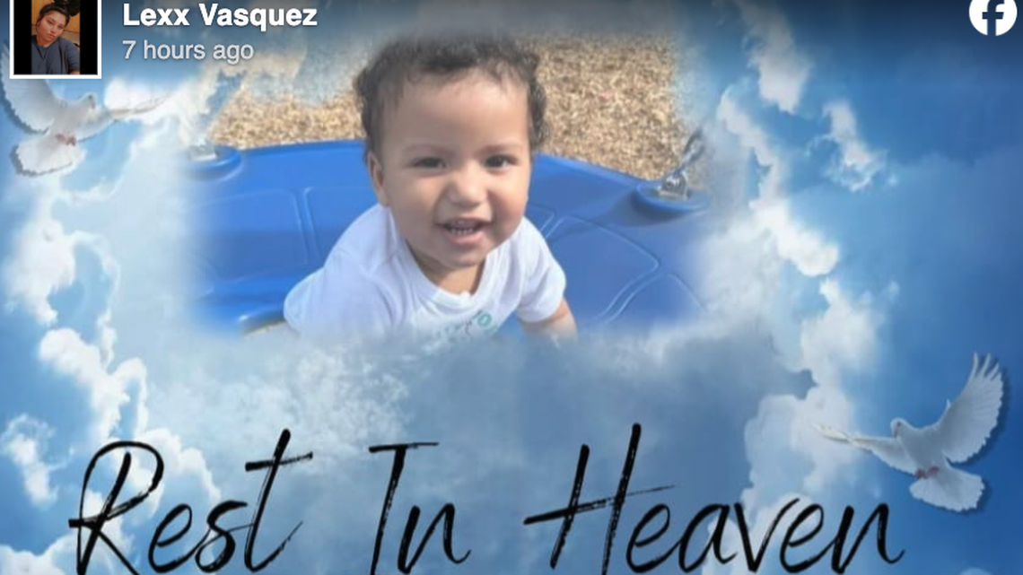 Jiryiah Johnson was mauled to death by a group of dogs, officials say.