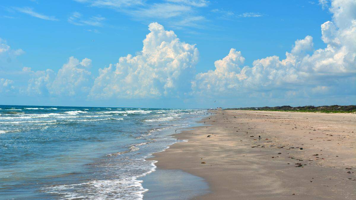 A mutilated sting ray and 15 intact crabs were also discovered at Padre Island National Seashore, officials said.
