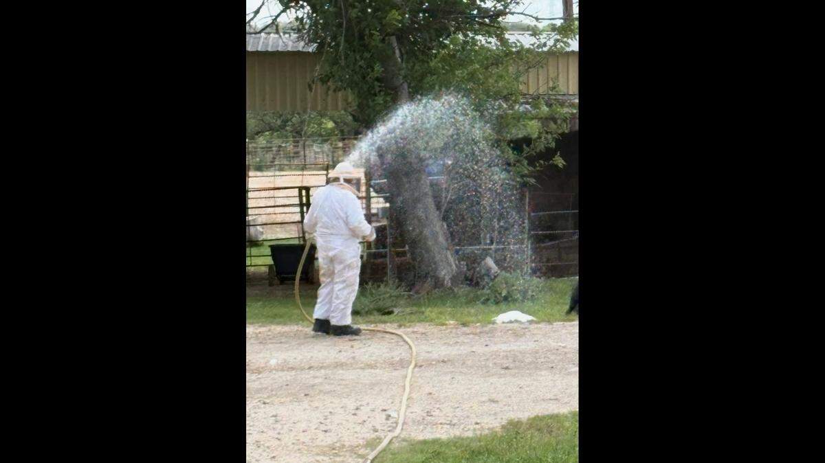 Volunteer fire officials sprayed a swarm of killer bees that relentlessly attacked three prized rodeo horses and their owners on a Texas ranch, officials say.