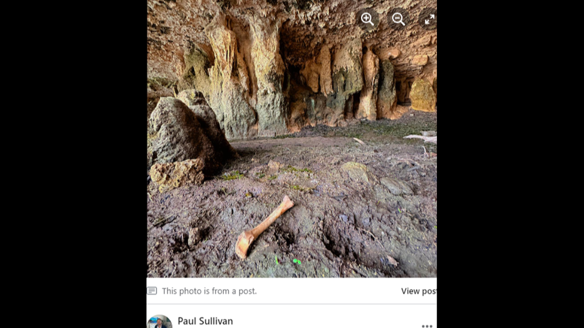 Drought conditions have revealed an underwater cave at Canyon Lake in Texas, photos show.