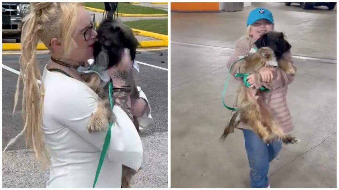 A dog named Milo, missing for more than two years, was reunited with his family.
