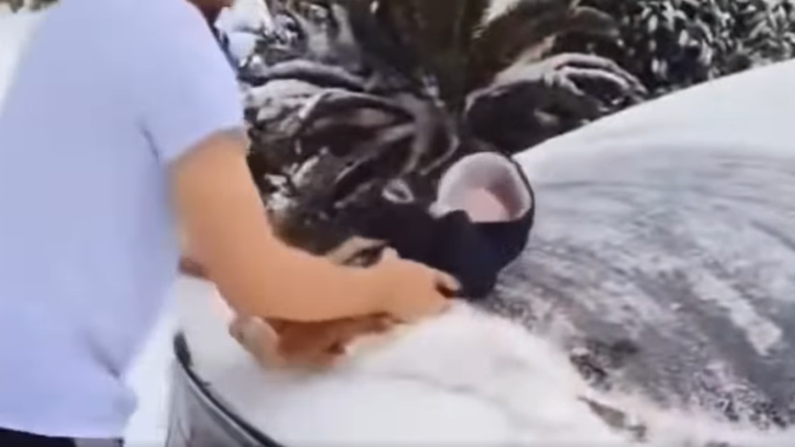 A Port Arthur, Texas, man is being investigated after police learned of a TikTok video in which he’s seen clearing snow off a car using an infant.