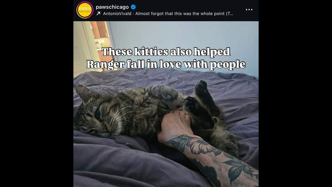 Ranger getting some love