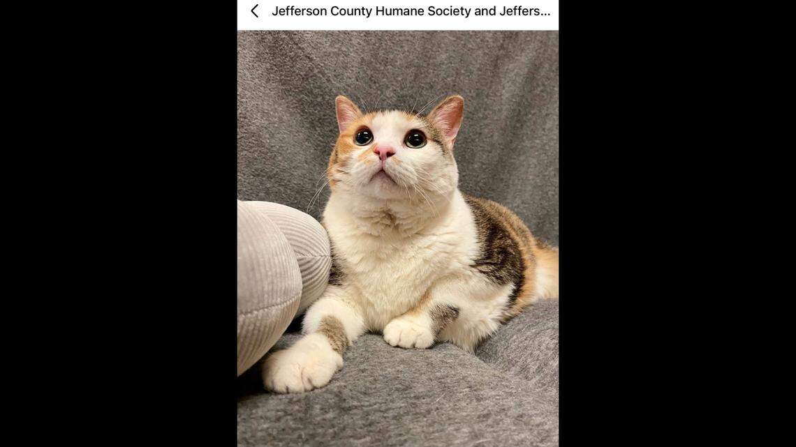 Bertha needs someone who will help her get healthy.