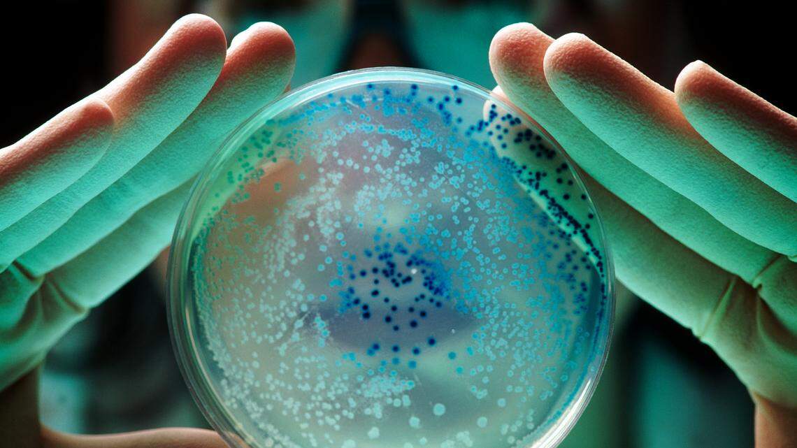 A teacher faced a life-threatening infection after contracting E. coli from a salad. She’s suing the Missouri catering company that provided the food.