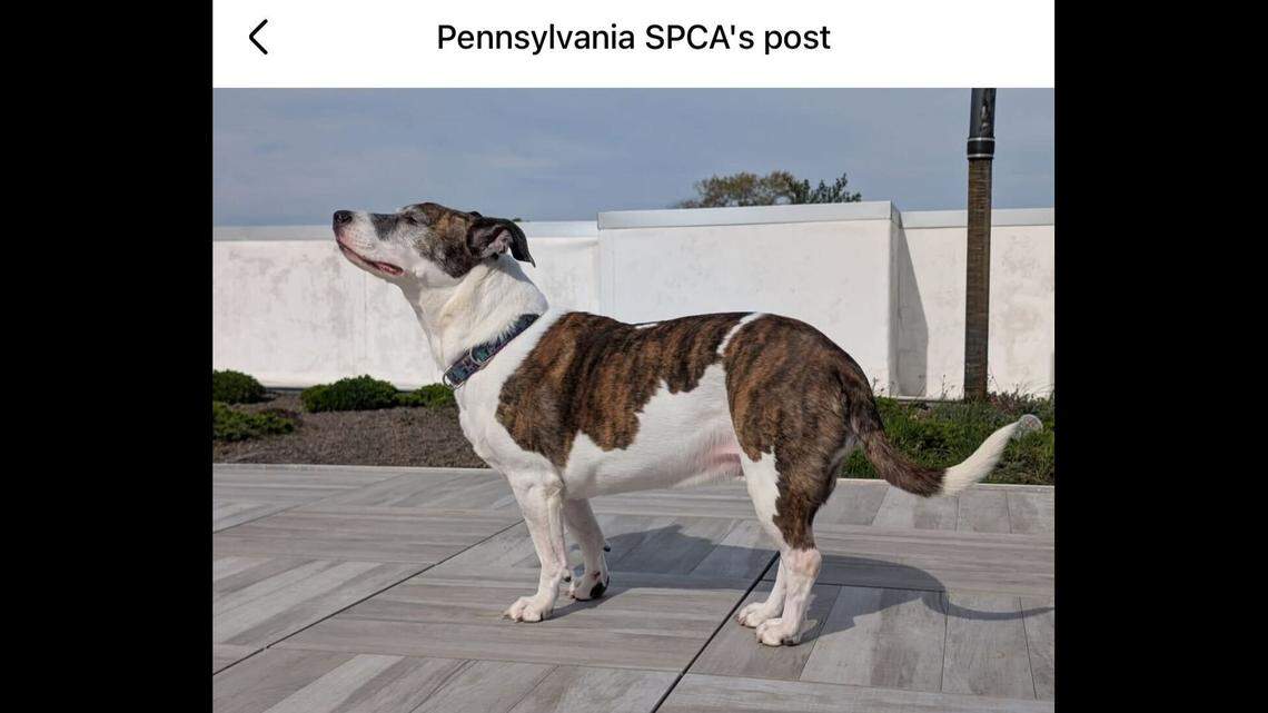 Terri feeling the warmth of the sun on her face.