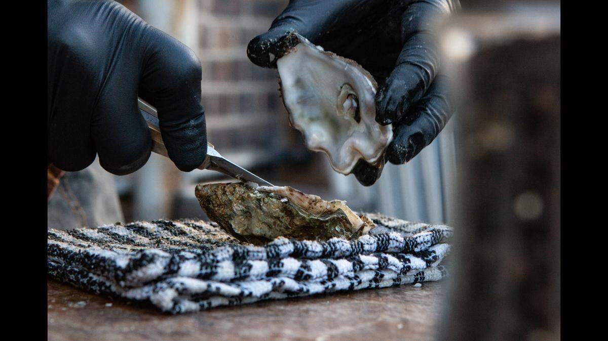 A man died from a rare infection after eating raw oysters at a restaurant in Galveston, Texas, officials say.