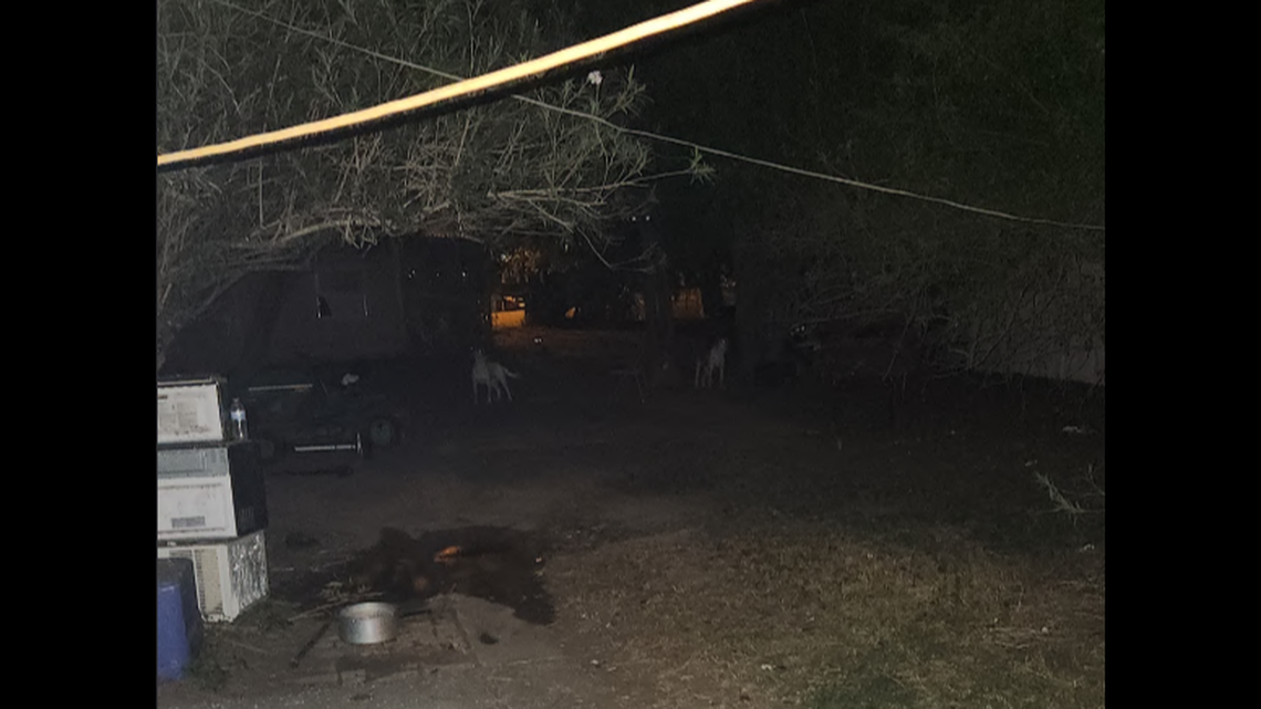 A 91-year-old woman was fatally mauled by her son’s dogs at a home in Pharr, Texas.