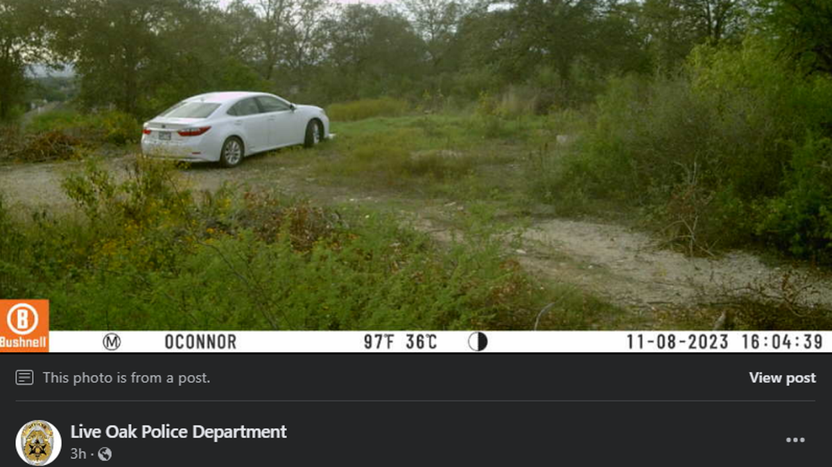 The Live Oak Police Department says someone “knowingly stole a city-installed game camera.”