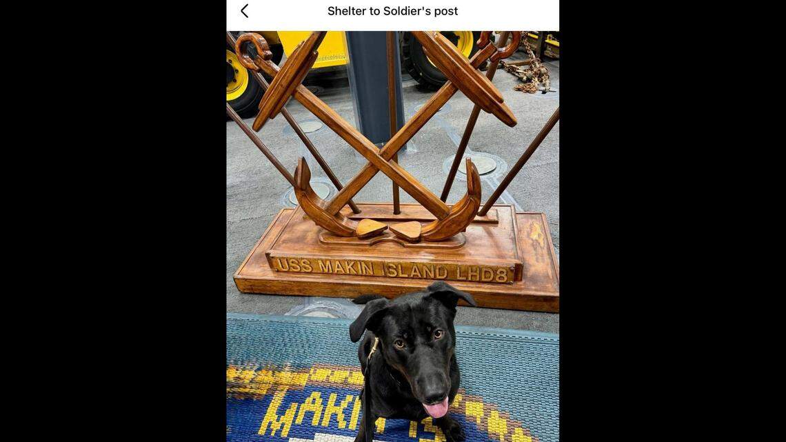 Raider on board the USS Makin Island