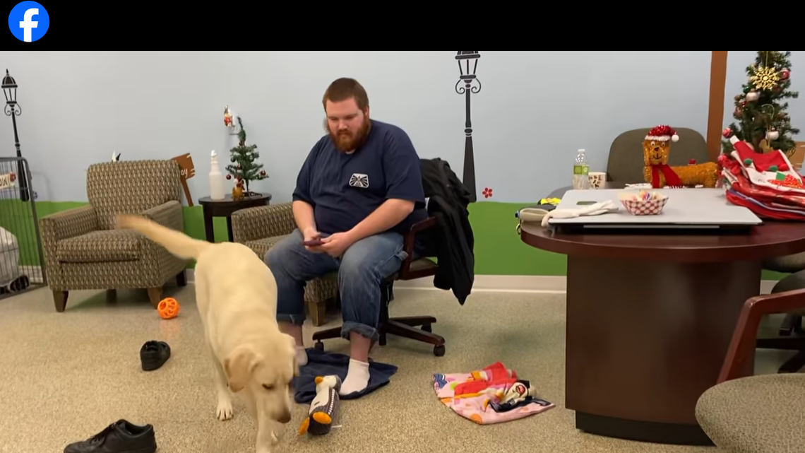 Marley reuniting with owner Logan Bennett