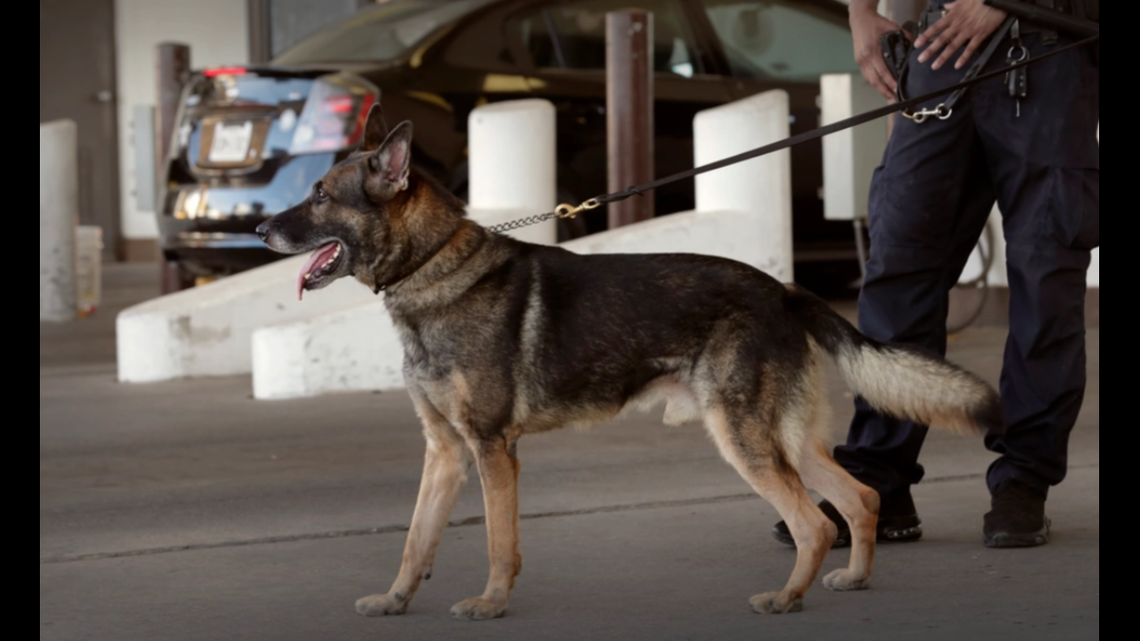 Customs and Border Protection officers stopped a bus carrying accused drug smugglers pretending to be musicians, who were sneaking 208 pounds of cocaine into the U.S. from Mexico, officials say.