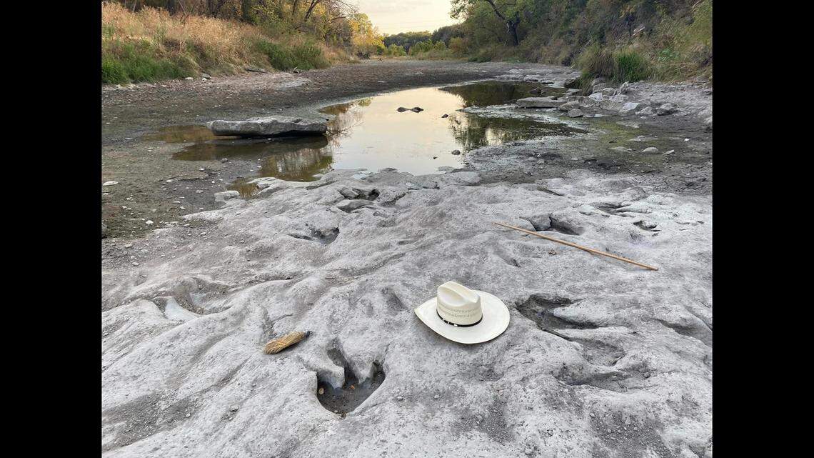 Due to drought, new dinosaur tracks have been discovered at Dinosaur Valley State Park in Texas.