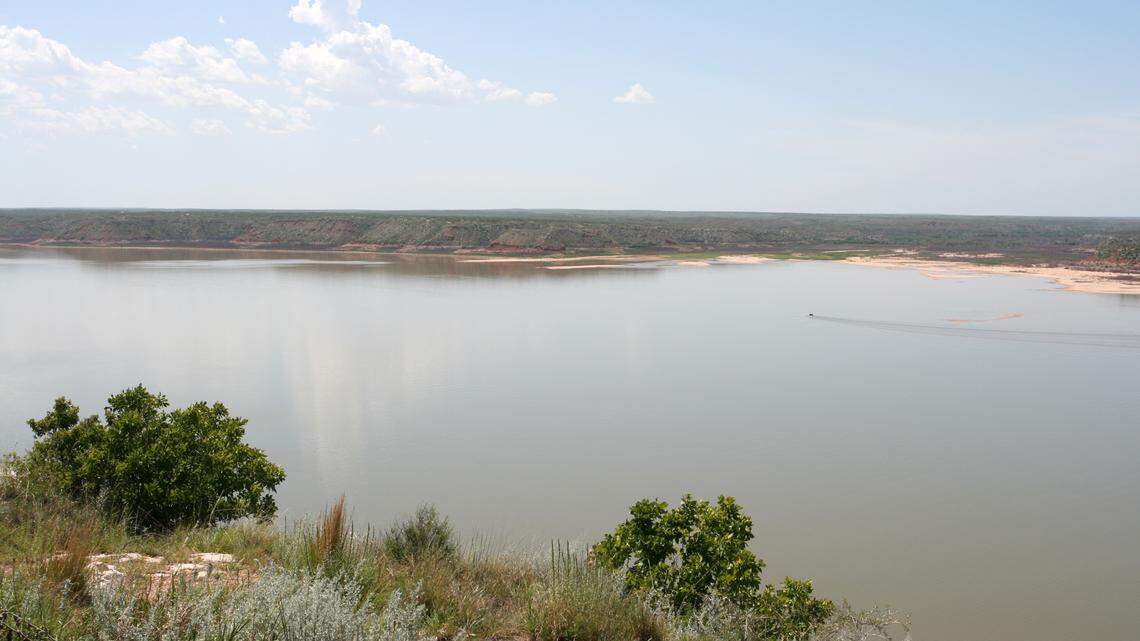 Officials said they’ve encountered this species before after people who owned them as pets released them into Texas waters.