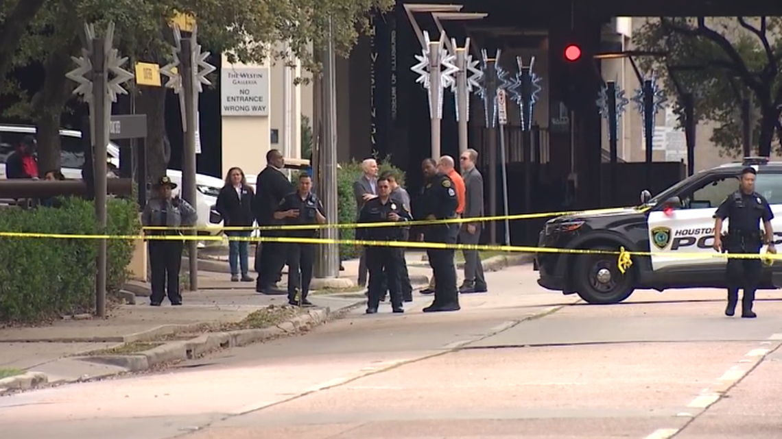 A 17-year-old girl was stabbed to death near the mall where she worked, Texas cops say.