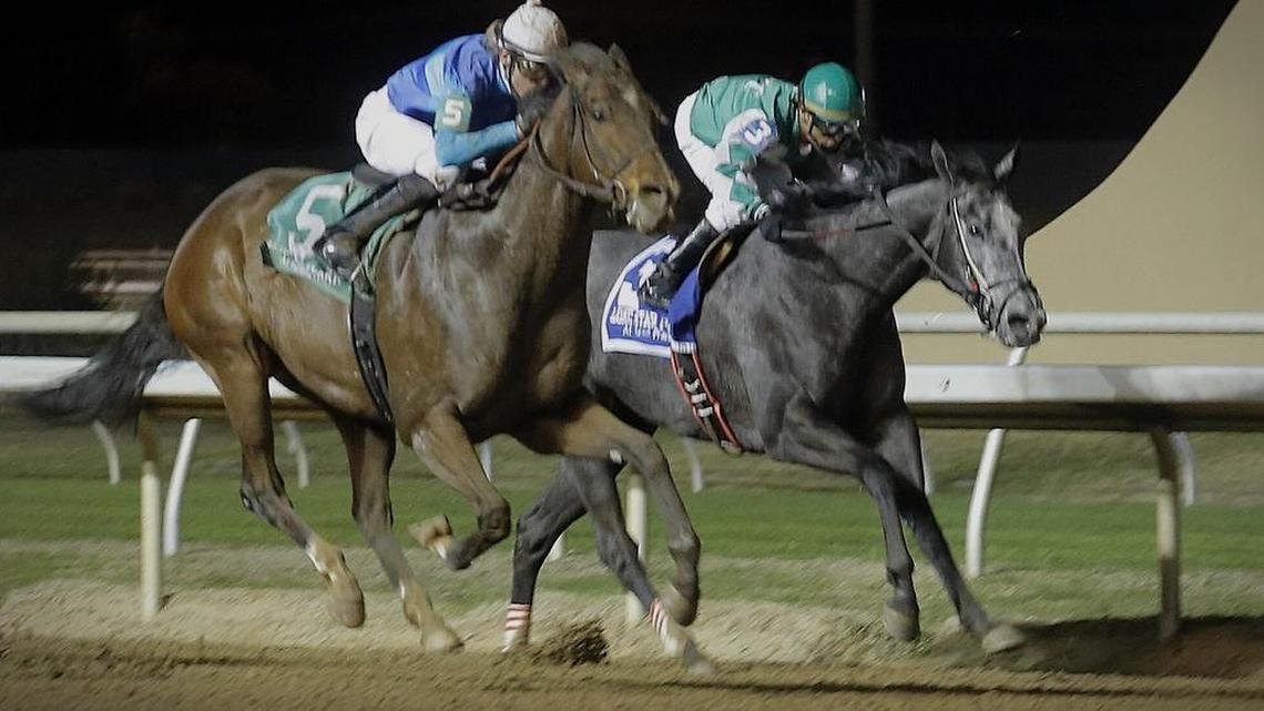 Solar Charge won the Premiere Stakes on last year’s opening day at Lone Star Park.