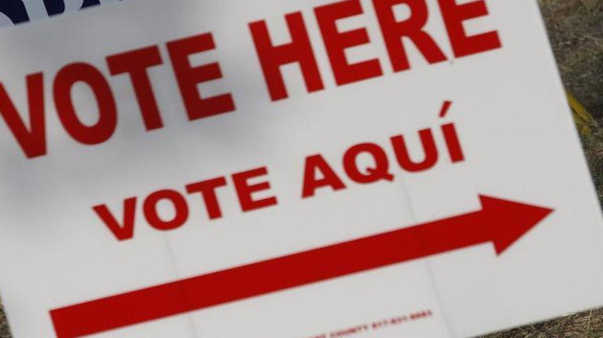 The traditional signs that greet voters during early voting and on Election Day.