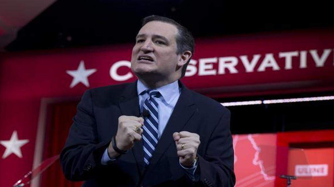 
Sen. Ted Cruz, R-Texas, speaks at the Conservative Political Action Conference (CPAC) in National Harbor, Md., Thursday, Feb. 26, 2015.
