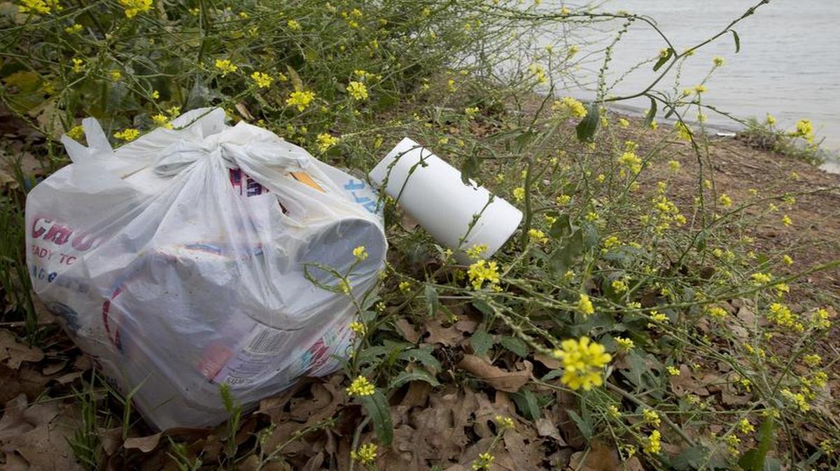 A proposal to crack down on littering in Texas has passed the Legislature. This is a picture of trash in Lake Arlington at Eugene McCray Park.