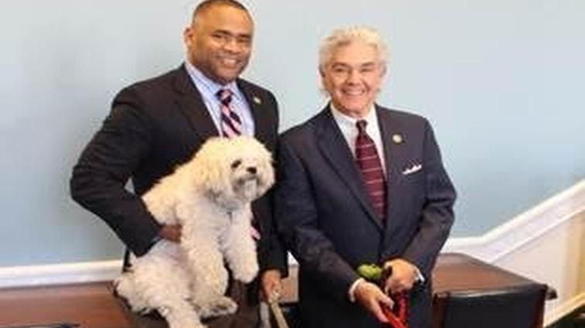 U.S. Reps. Marc Veasey, D-Fort Worth, left, and Roger Williams, R-Austin, have teamed up to boost pet adoption.