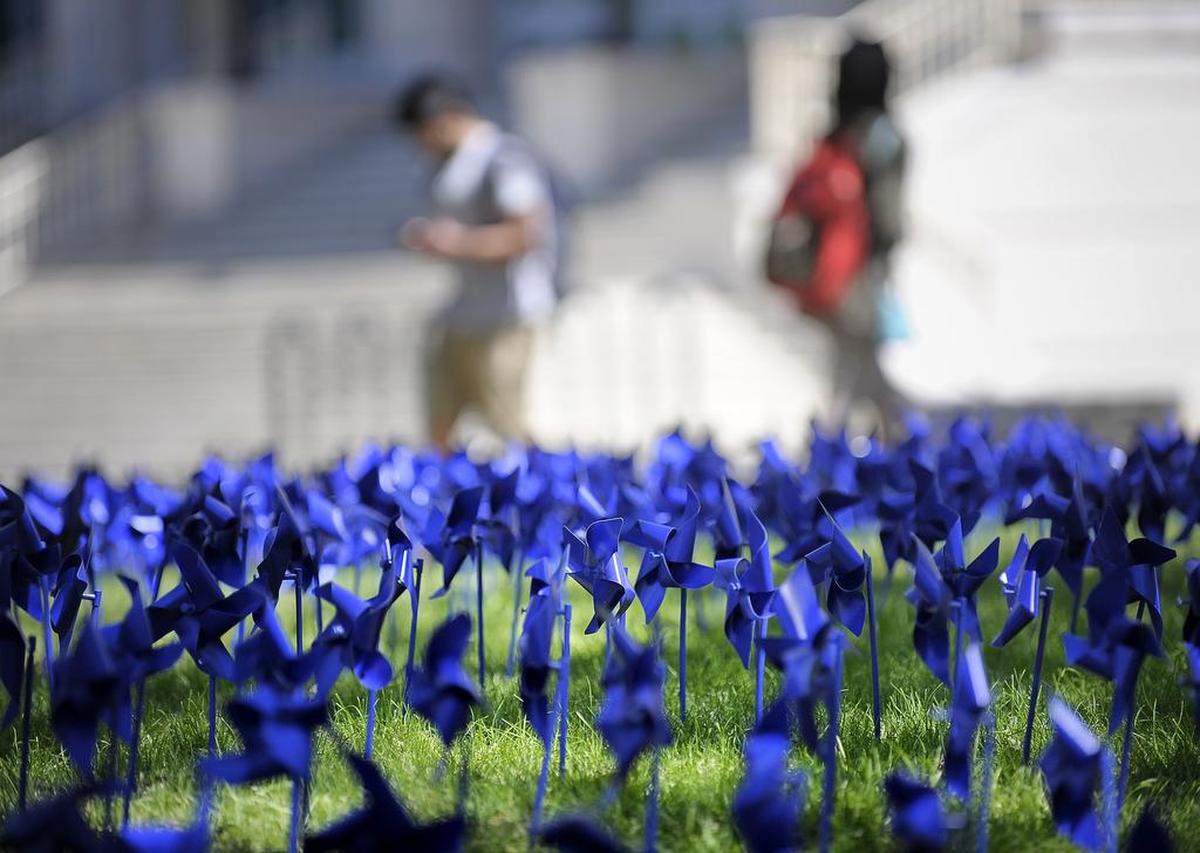 The 5,162 pinwheels represent confirmed child abuse victims in Tarrant County in one year on display at Texas Christian University in Fort Worth in a file photo.