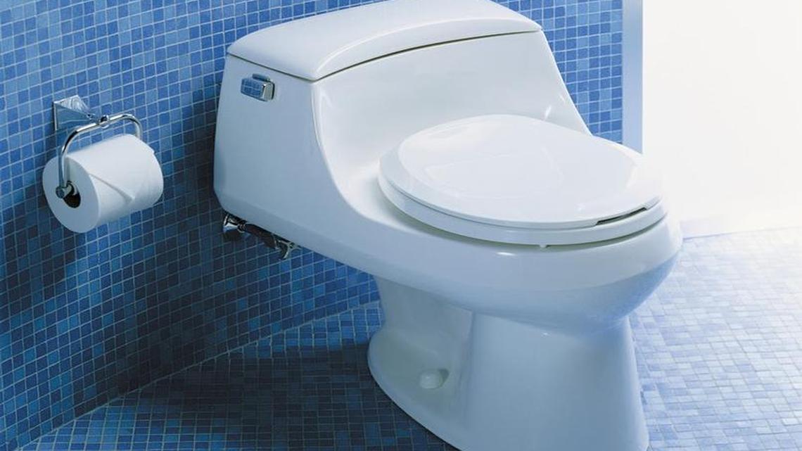 Many toilets, marked with the WaterSense logo, will be tax free this weekend through the Water Efficient Sales Tax Holiday. Older toilets can use as much as six gallons per flush, wasting water in many households.