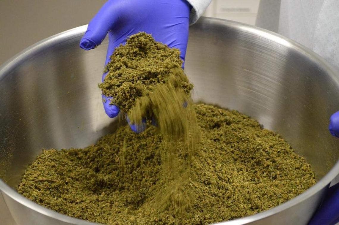 This is the product after the marijuana plants are crushed, but before the liquid is extracted.