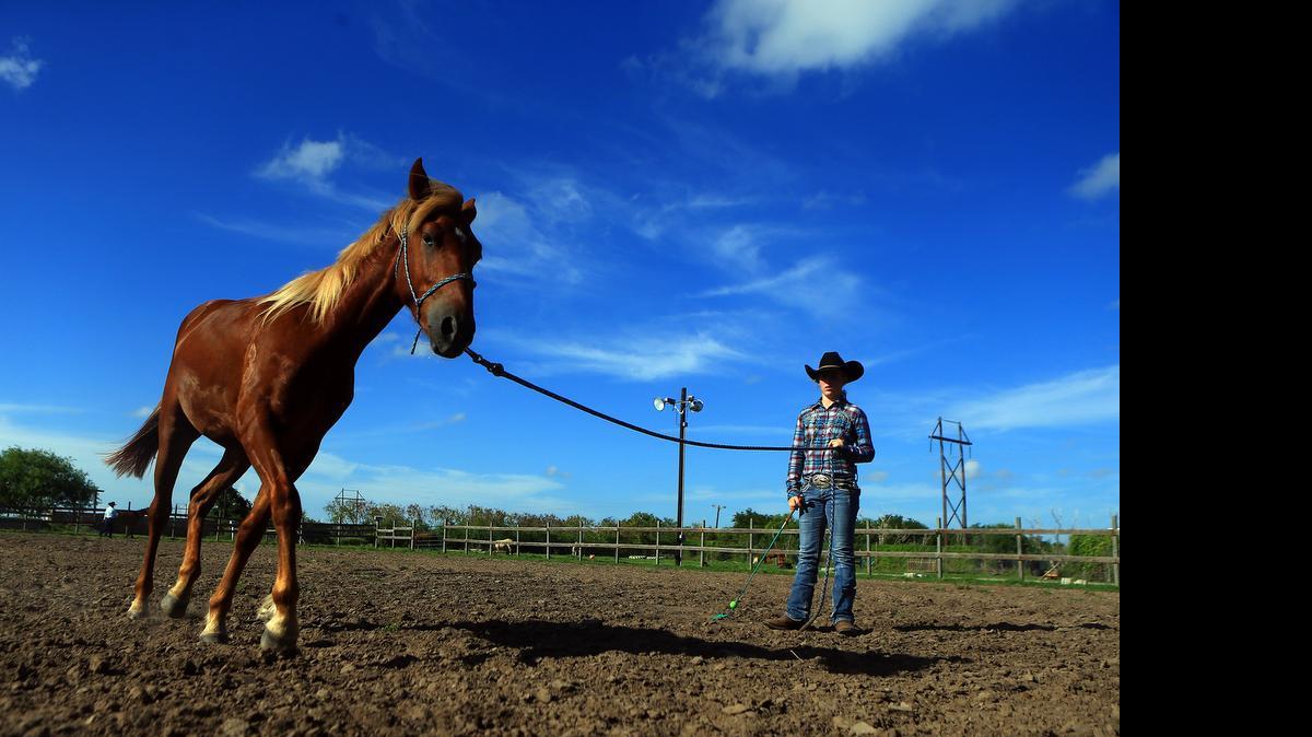 
Taren Moore works on exercises with her wild mustang, Embark on Adventure, at Lorrie Grover's Blue Sky Ranch in Corpus Christi.
