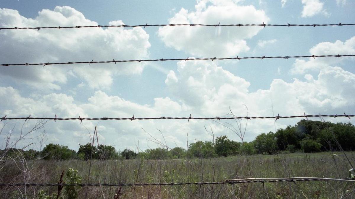 A horse in Johnson County died Monday after getting entangled in barbed wire.