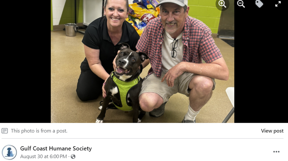 Zoi was living at a Texas animal shelter for over 500 days, but now she has found a loving family.
