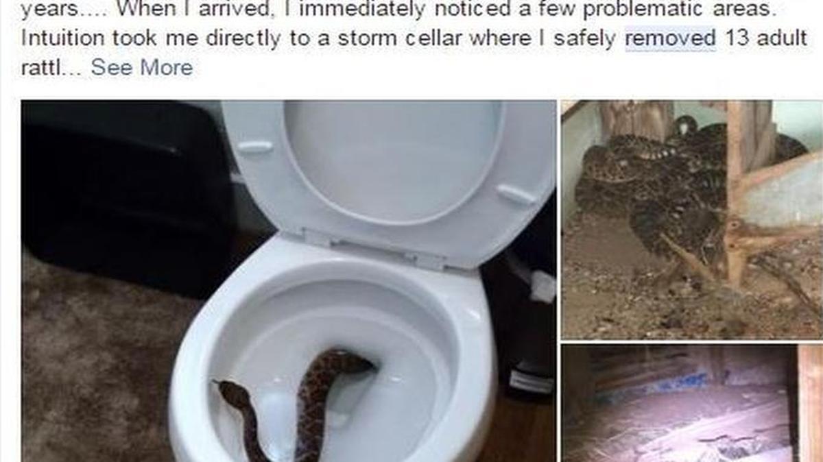 Twenty-four snakes total were removed from a West Texas family’s home.