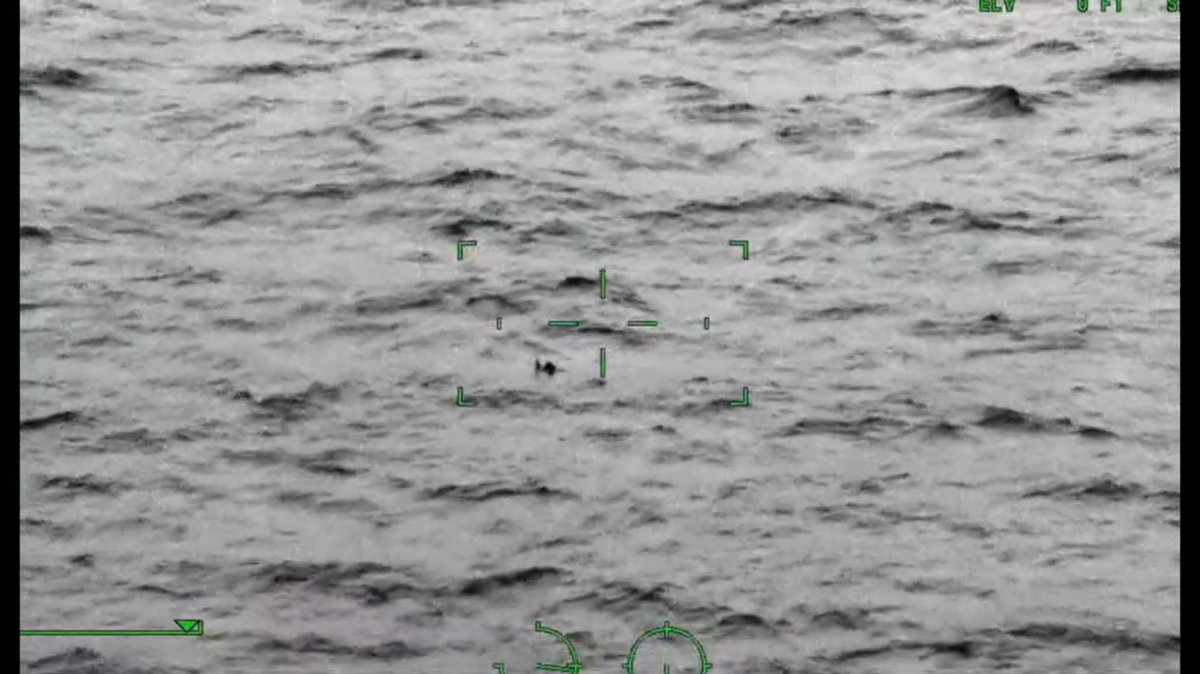 Couple rescued after being stranded at sea for 36 hours.