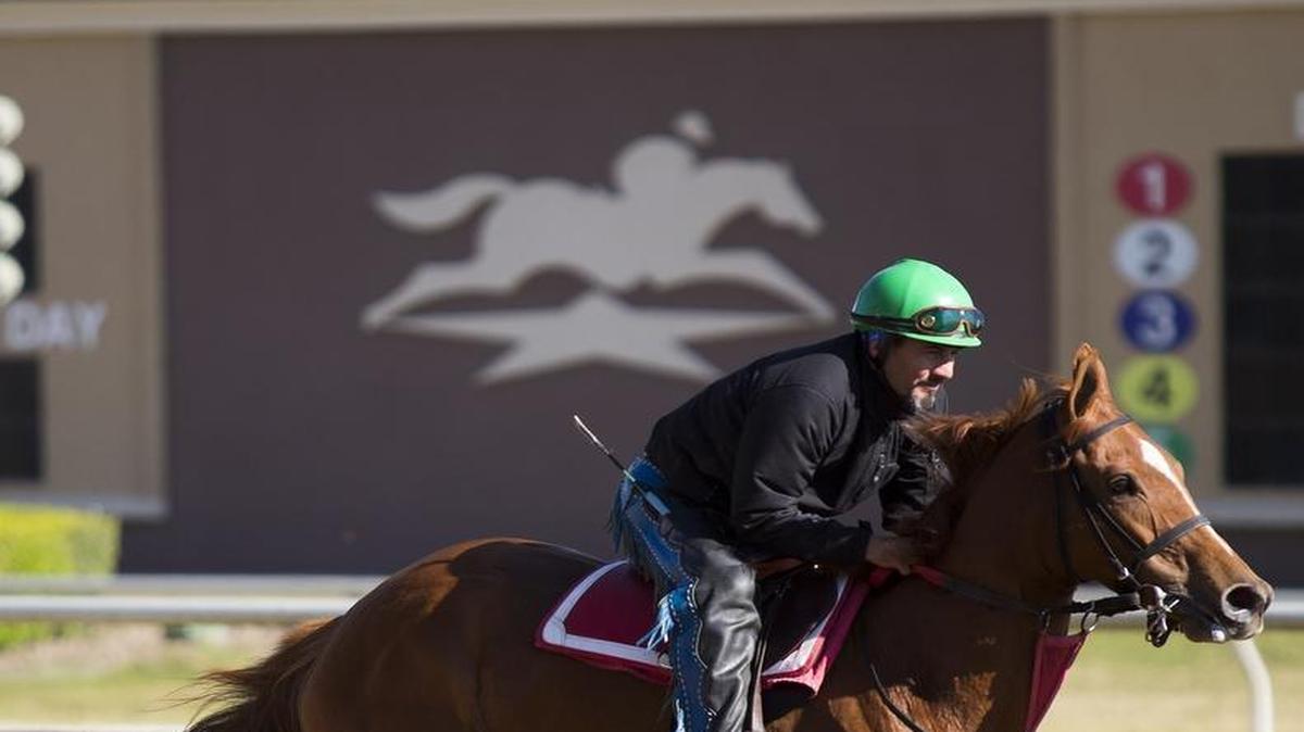 A trainer races his horse around the track in preparation for the beginning of thoroughbred season at Lone Star Park in Grand Prairie.