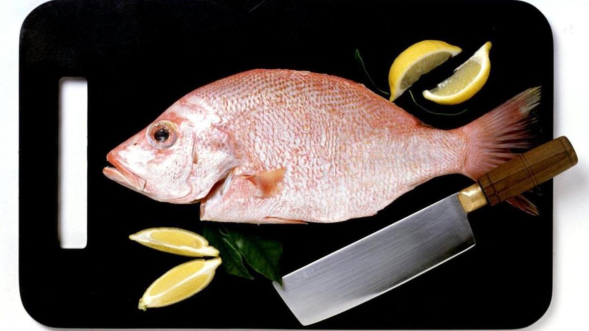 Commercial fishing of red snapper in the Gulf of Mexico is highly regulated.