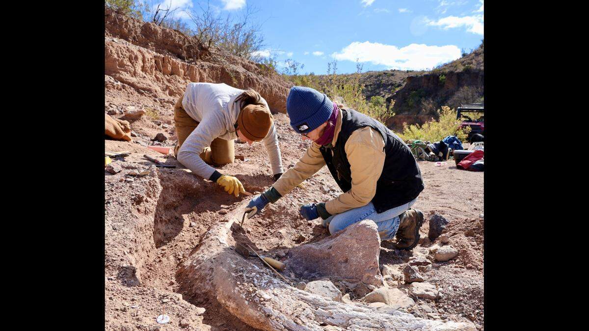 A team of five researchers went to the 02 Ranch and uncovered the fossil.