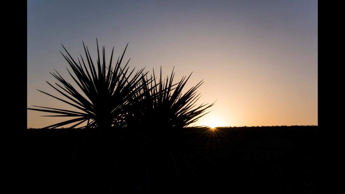 Researchers discovered a new species that lives in Texas and Oklahoma.