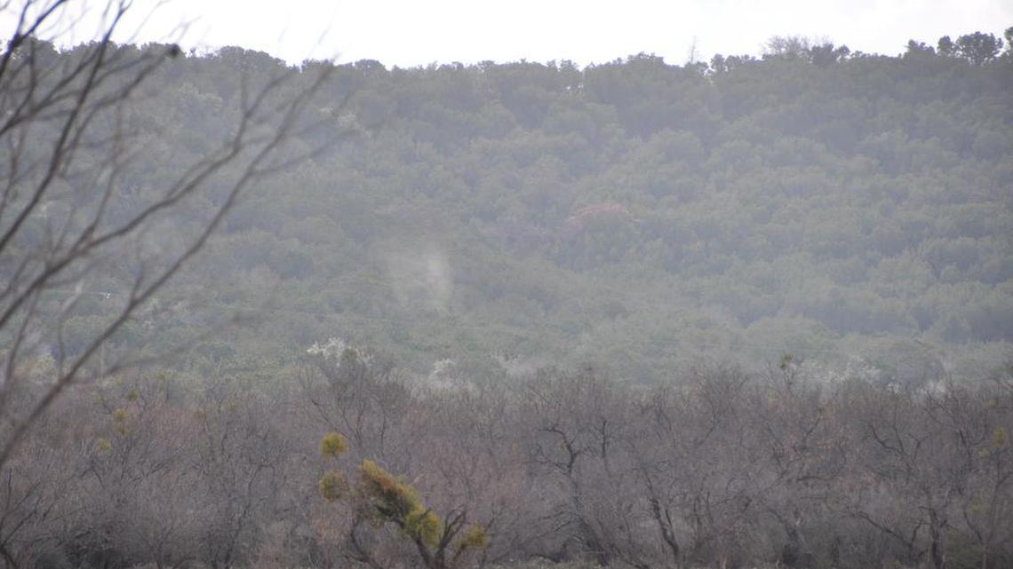 Mountain cedar pollen is visible as cloudy puffs just above the trees in Junction in January 2014.