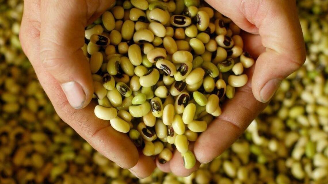 How a Texan taught America to eat ‘lucky’ black-eyed peas for New Year’s