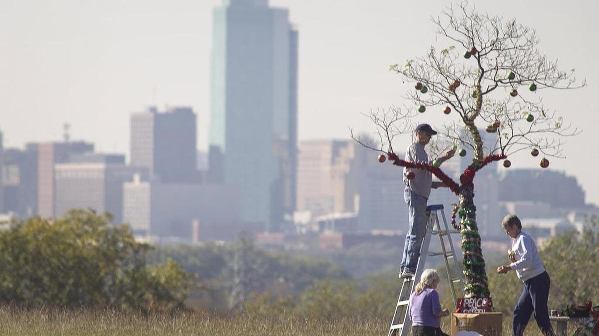 In 2011, Duane McMichael, friend Layn Stewart and his sister Joyce Haynes decorated the “Homeless Christmas Tree.” Someone mysteriously removed the old tree, a sapling and a bench from the I-30 hillside in recent days.
